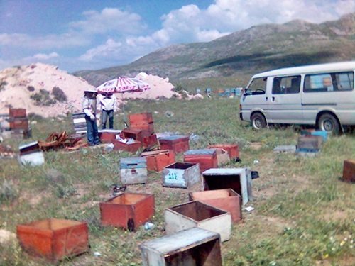 AÇ KALAN AYILAR YİNE İŞBAŞINDA