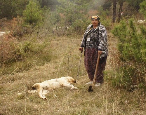 AÇ KALAN AYILAR MAHALLEYE İNDİ