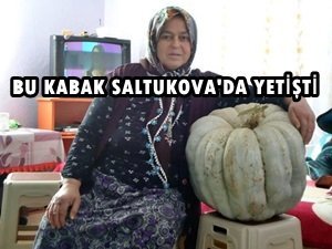 SALTUKOVA’DA BİR ÇİFTÇİ BAHÇESİNDE 50 KİLO AĞIRLIĞINDAKİ KABAĞI GÖRÜNCE ŞOK OLDU (GÖRÜNTÜLÜ)