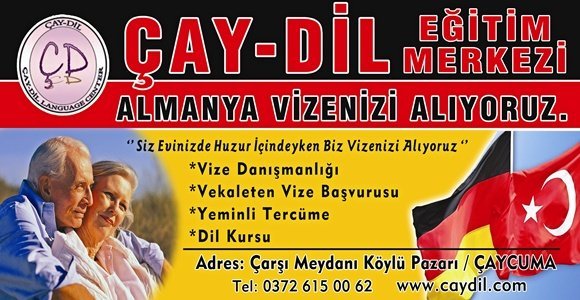 caydilbanner
