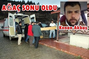 KASTAMONU’DA ÜZERİNE AĞAÇ YUVARLANAN İŞÇİ ÖLDÜ