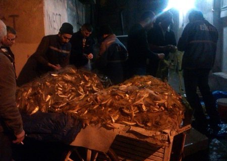 TÜRKALİ’DE BALIKÇILARIN YÜZÜ GÜLDÜ (GÖRÜNTÜLÜ)