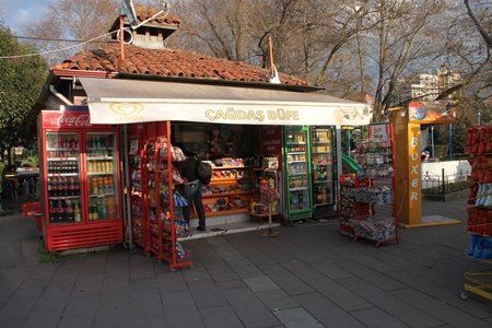 ÖNCE KEDİ SONRADA MASKELİ HIRSIZ GİRDİ