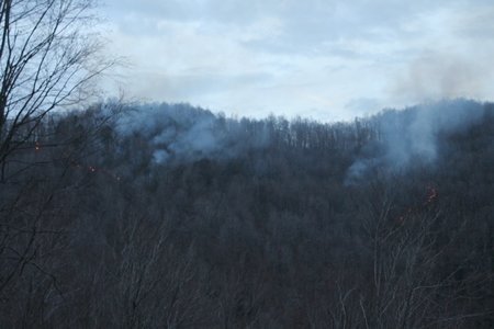 ZONGULDAK’TA ORMAN YANGINI
