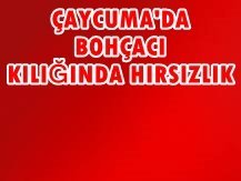 BOHÇACI KILIĞINDAKİ HIRSIZLAR YAKALANDI