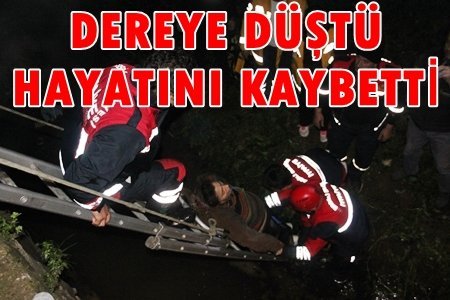 SON DAKİKA: ZONGULDAK’TA BİR KADIN 10 METRE YÜKSEKLİKTEN DEREYE DÜŞEREK HAYATINI KAYBETTİ (GÖRÜNTÜLÜ)