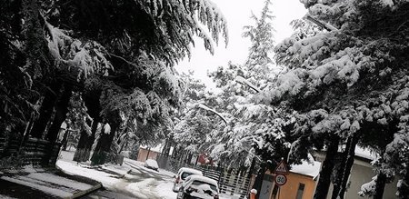 10310668_977089305653138_3112957637550536161_n