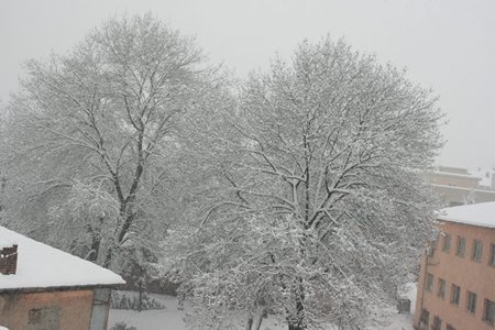 10404214_977128298982572_7923922215107966226_n