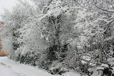 10906017_977128355649233_1350435127793481753_n