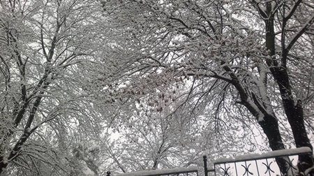 10906196_979235012105234_7701126121988800484_n