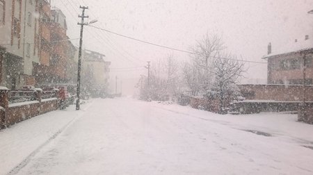 10915215_979234772105258_357912402863454616_n