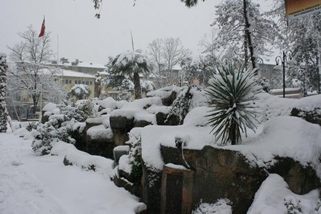 10920903_977128188982583_5581593970437004008_n