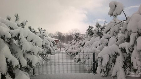 10922651_979234838771918_597189223723529826_n