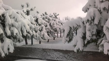 10926426_979234855438583_7859641766279126307_n