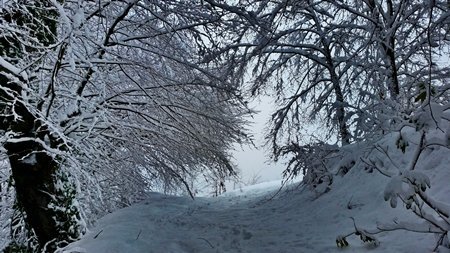 Zonguldak Beyaza Büründü