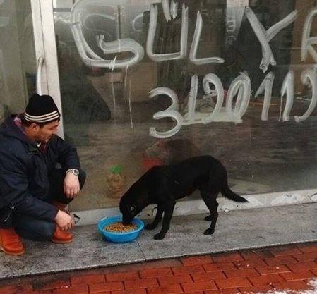 Kozlu Belediyesi Sokak Hayvanlarını Unutmadı