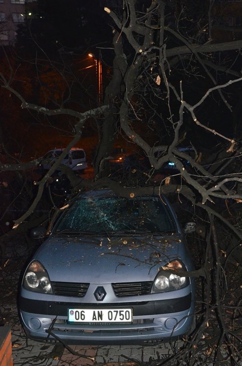 FAC?AYA KIL PAYI ZONGULDAK?TA B?R OKULUN BAHÇES?NDEK? A?AÇ OTOMOB?LLER?N ÜZER?NE DEVR?LD? TAKS? ?OFÖRÜ 3 ANAOKULU Ö?RENC?S?N?N HAYATINI SON ANDA KURTARDI