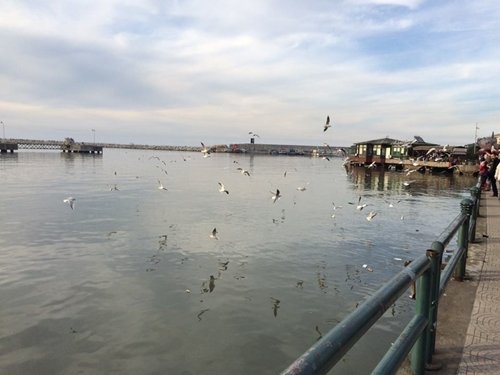 SICAK HAVAYI FIRSAT B?LEN ZONGULDAKLILAR SOLU?U DEN?Z KENARINDA ALDI