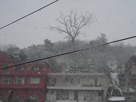 Türkali’de Kar Yağışı (Görüntülü)