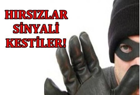 TCDD Sinyal Kablolarını Kestiler