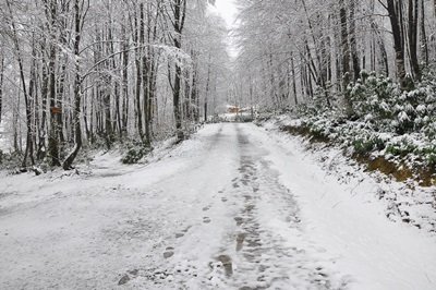 ZONGULDAK KARA BÜRÜNDÜ