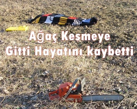 AĞAÇ KESERKEN YÜKSEK GERİLİME KAPILARAK HAYATINI KAYBETTİ