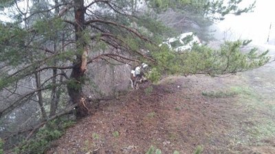 KÜRE'DE TRAF?K KAZASI: 1 YARALI