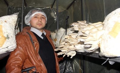 KÖYLÜLERİYLE İDDİAYA GİRDİ, İSTİRİDYE MANTARI YETİŞTİRMEYE BAŞLAD