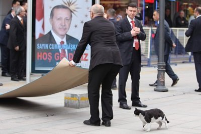 CUMHURBA?KANI ERDO?AN KARABÜK BELED?YES?'N? Z?YARET ETT?