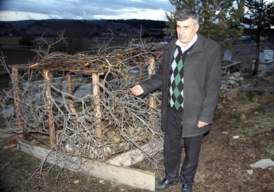 (ÖZEL HABER) CENAZE AVCISI AYILARA TÜRK ??? ÇÖZÜM AYI SALDIRILARI, NALBURDA TEL SATI?LARINI ARTTIRDI KASTAMONU'DA AYILARIN SALDIRISI ÜZER?NE VATANDA?LAR ÇAREY? MEZARLARIN ÜSTÜNÜ TEL ÖRGÜ KAPATMAKTA BULDU