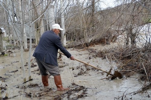 TOSYA’DA ÇELTİK TARLALARINI SEL BASTI