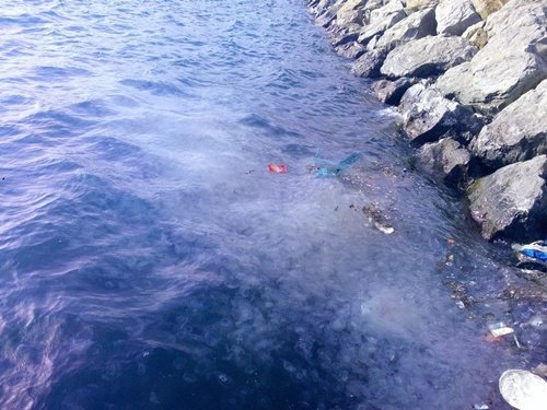 KIYIYA VURAN B?NLERCE DEN?Z ANASI KORKUTTU