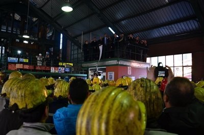 MADENDE ÖLEN 263 ??Ç? DUALARLA ANILDI