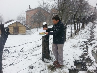 (ÖZEL HABER) BARTINLI Ç?FTÇ? KAYBOLAN ?NE??N? AF??LERLE ARIYOR TEK GEÇ?M KAYNA?I KAYBOLAN ?NE?? OLAN Ç?FTÇ? GÖZYA?LARINA BO?ULDU