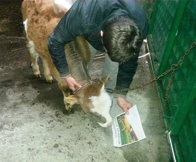 (ÖZEL HABER) BARTINLI Ç?FTÇ? KAYBOLAN ?NE??N? AF??LERLE ARIYOR TEK GEÇ?M KAYNA?I KAYBOLAN ?NE?? OLAN Ç?FTÇ? GÖZYA?LARINA BO?ULDU