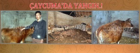 Çaycuma’da Ahır ve Samanlık Yangını.! (ÖZEL) (GÖRÜNTÜLÜ)