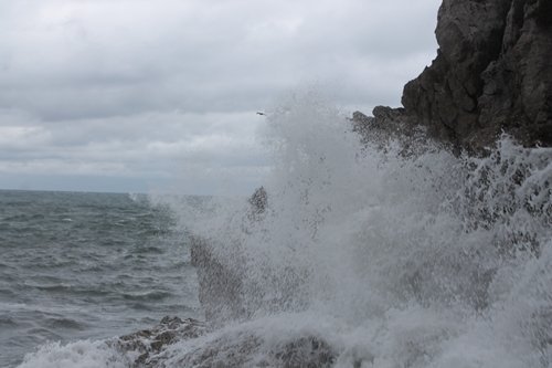 DALGALAR ARASINDA ?NT?HAR G?R???M?