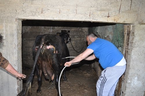 ALEV ALEV YANAN EVDE ÇOCU?UNU ARADI