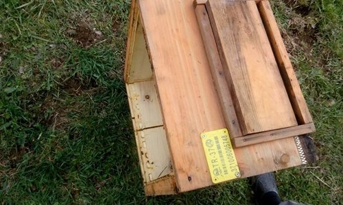 AYILAR ARI KOVANLARINA SALDIRDI