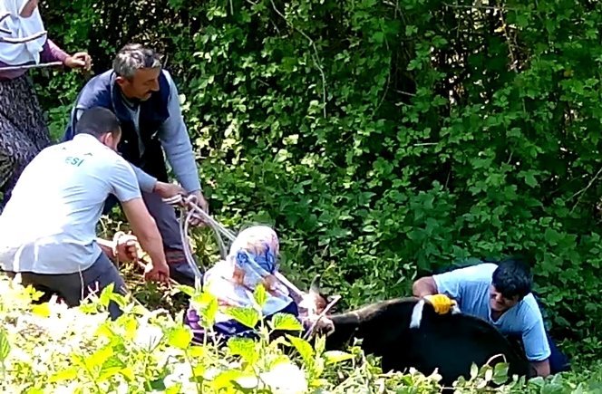 UÇURUMA YUVARLANAN ?NE?? BELED?YE EK?PLER? KURTARDI