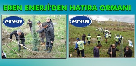 Çaycuma’ya Eren Enerji’den Hatıra Ormanı