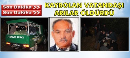 ARILARIN SOKTUĞU ADAM YAŞAMINI YİTİRDİ
