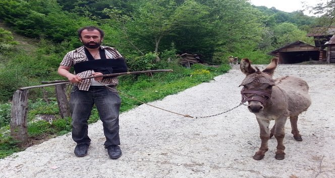 EŞEĞİN SALDIRISINA UĞRAYAN VATANDAŞ ŞİKAYETÇİ OLDU