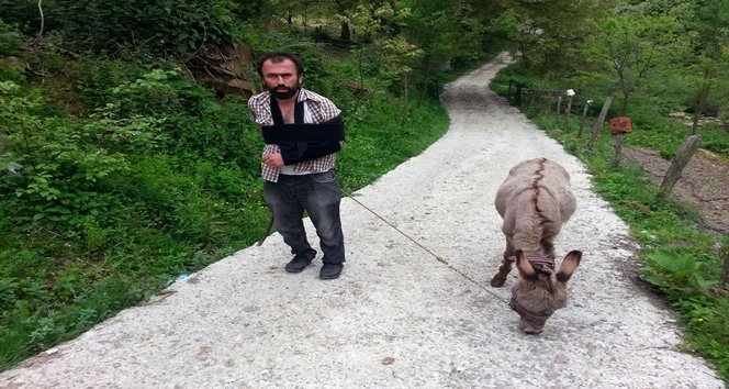 BARTIN?DA E?E??N SALDIRISINA U?RAYAN VATANDA? ??KAYETÇ? OLDU YEN? ALDI?I E?EK ISIRINCA ESK? SAH?B?NE DAVA AÇTI