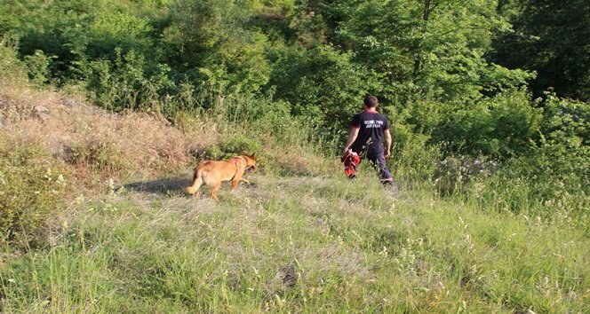 ORMANLIK ALANA KAÇAN ÇOCUK 5 SAAT SONRA BULUNDU KAYIP ÇOCU?U AYNI MAHALLEDEN ARKADA?I SAKLANDI?I YERDE BULDU