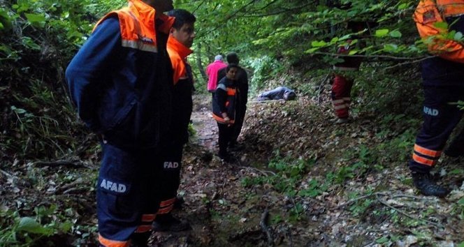 KASTAMONU'DA ORMANA G?DEN KÖY MUHTARI ÖLÜ BULUNDU