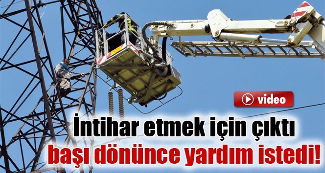 İntihar Etmek İçin Çıktı, İnemeyince Yardım İstedi