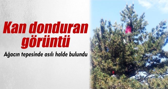 Ormanlık alanda ceset kurtarma operasyonu