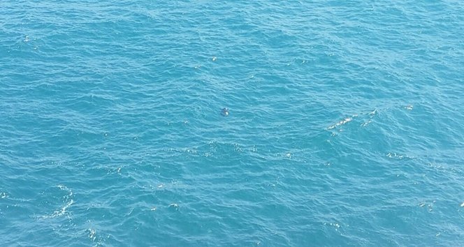 FOTO?RAF ÇEKT?RMEK ?STERKEN AYA?I KAYIP DEN?ZE DÜ?EN GENÇ ÖLDÜ