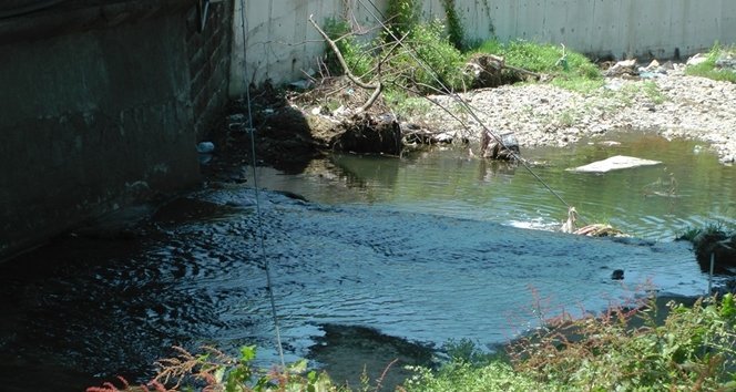 VATANDA?LARDAN KABLO TEPK?S?